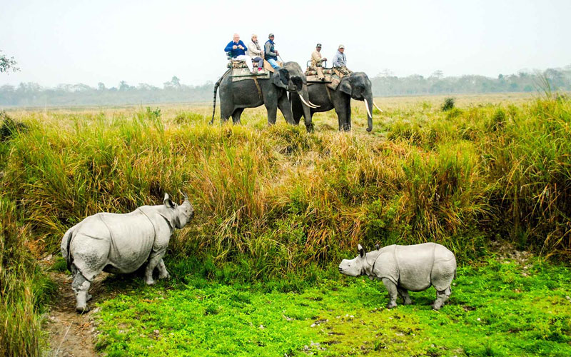 adventure tour of assam