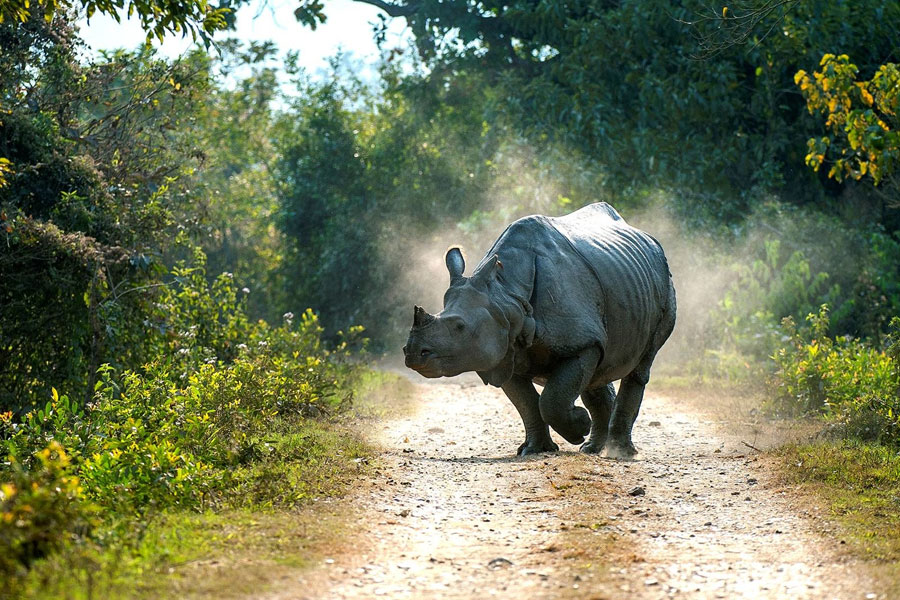 adventure tour of assam