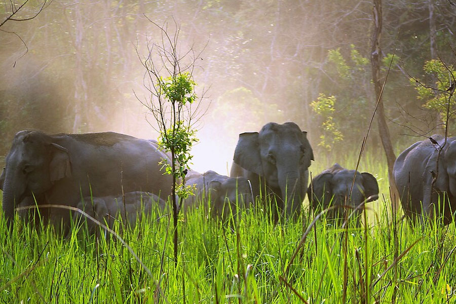 adventure tour of assam